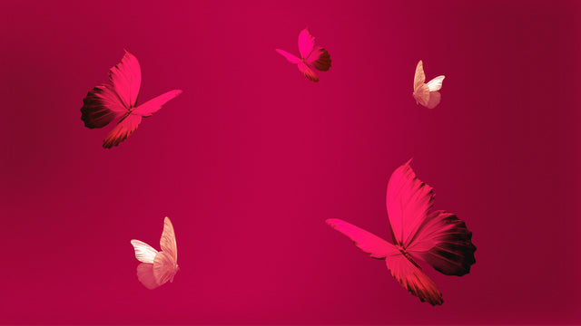 Hanae Mori Parfums Black Friday 2025