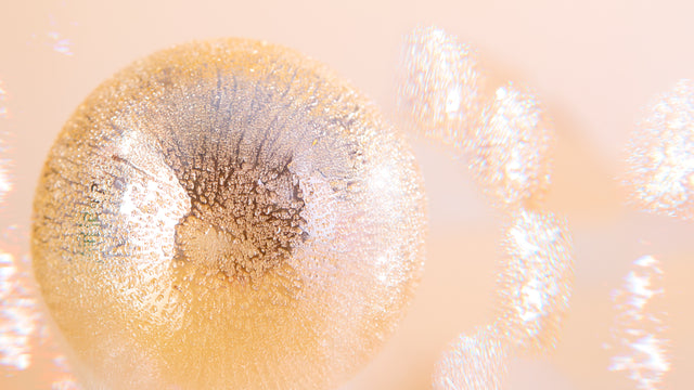 Hanae Mori Parfums Christmas 2025 ornement 