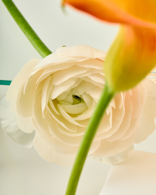 Parfums Hanae Mori flower 2026