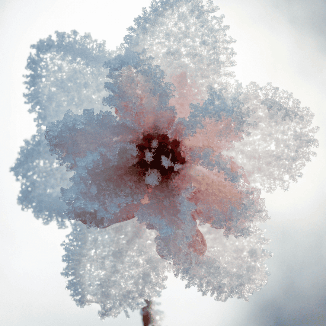 Plum blossom, Floral olfactive family